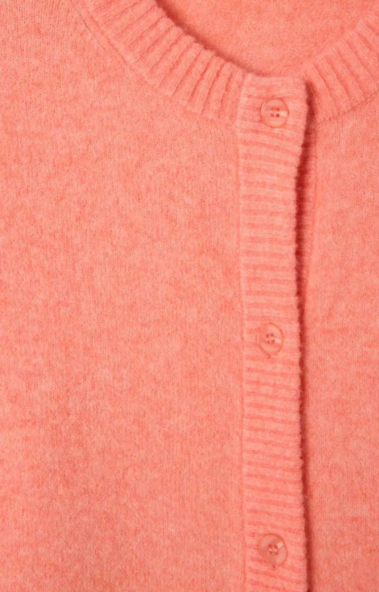 AMERICAN VINTAGE Damsville - Zalm