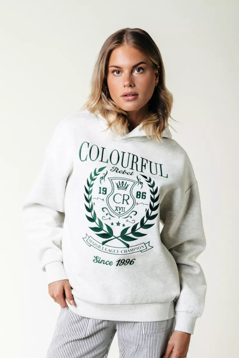 COLORFUL REBEL College 1986 Embro Clean Hoodie