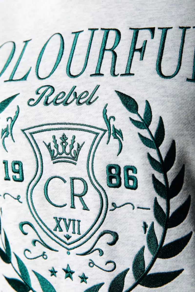 COLORFUL REBEL College 1986 Embro Clean Hoodie