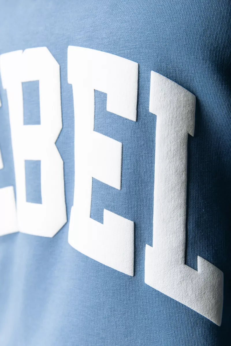 COLORFUL REBEL Rebel Relaxed Zip Sweat