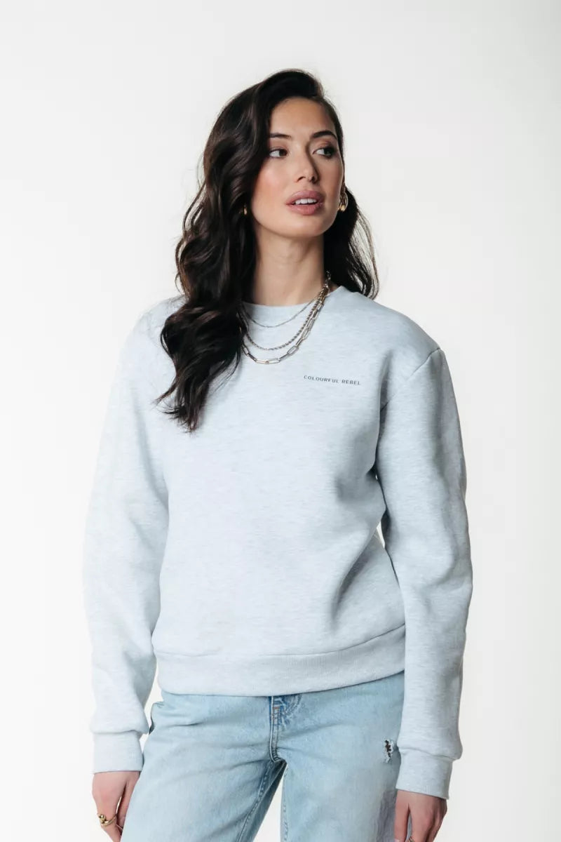 COLORFUL REBEL Logo Circle Relaxed Sweat
