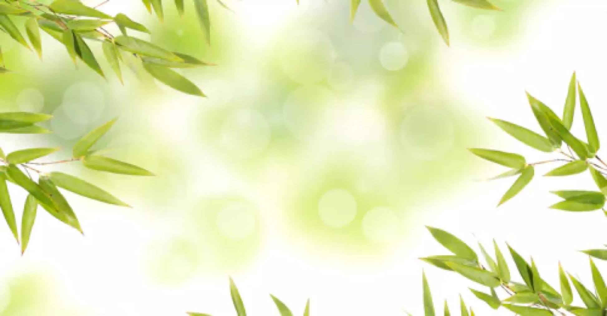 WASGELUK Wasparfum 50ml - Bamboo