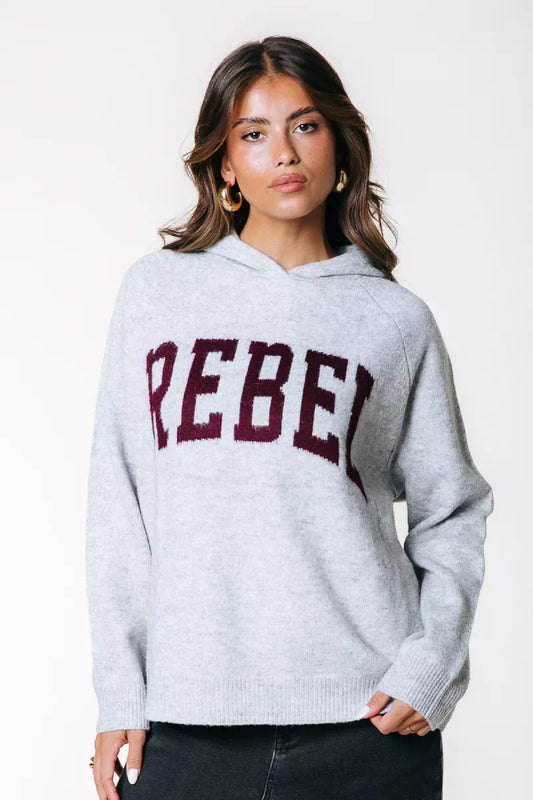 COLORFUL REBEL Rebel Knit Hoodie