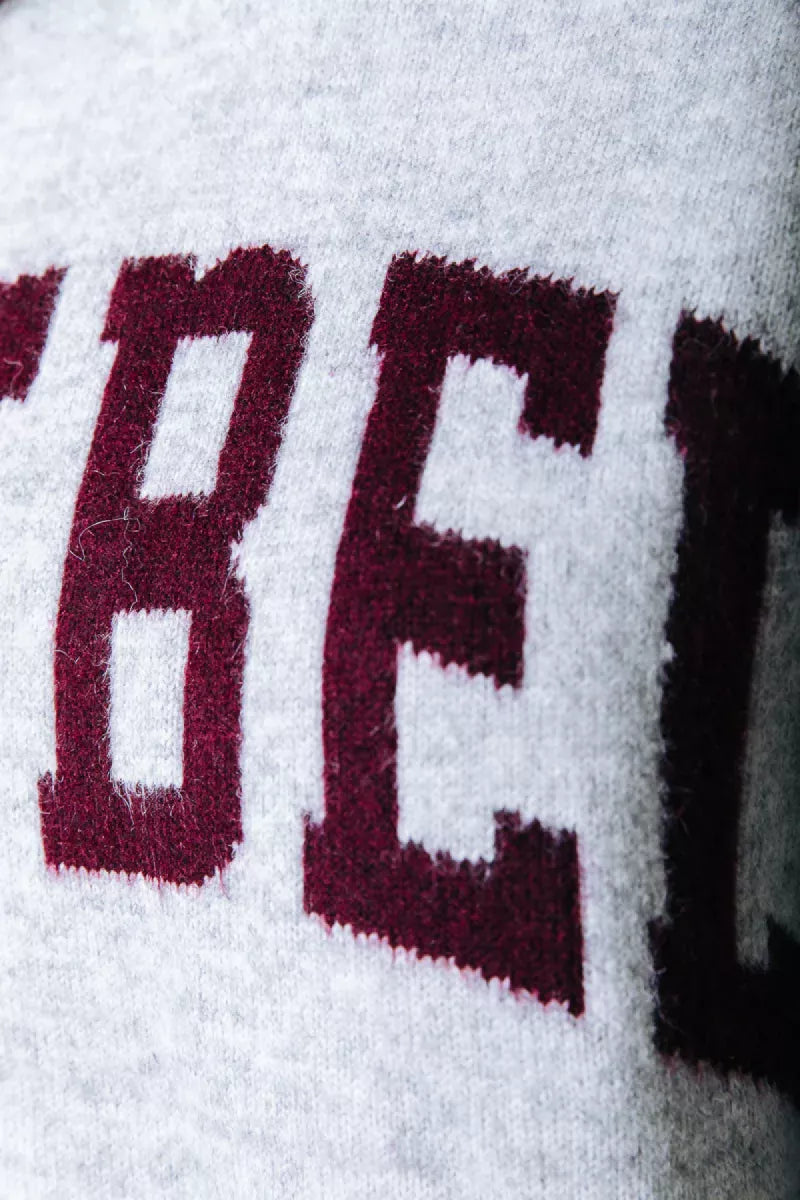 COLORFUL REBEL Rebel Knit Hoodie