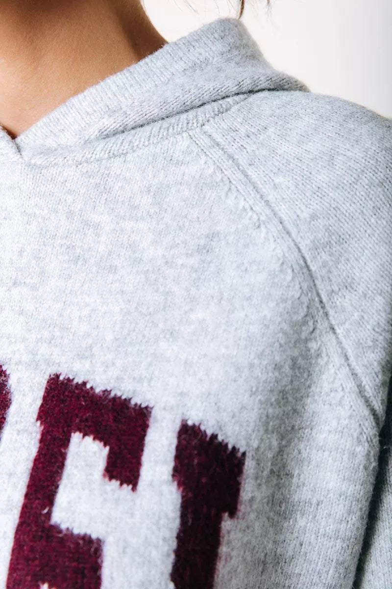 COLORFUL REBEL Rebel Knit Hoodie