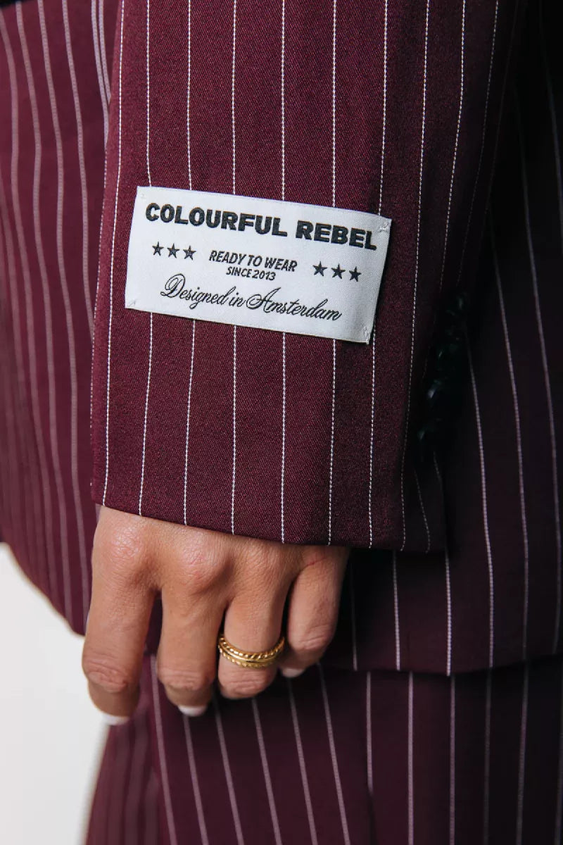 COLORFUL REBEL Jesra Pinstripe Blazer