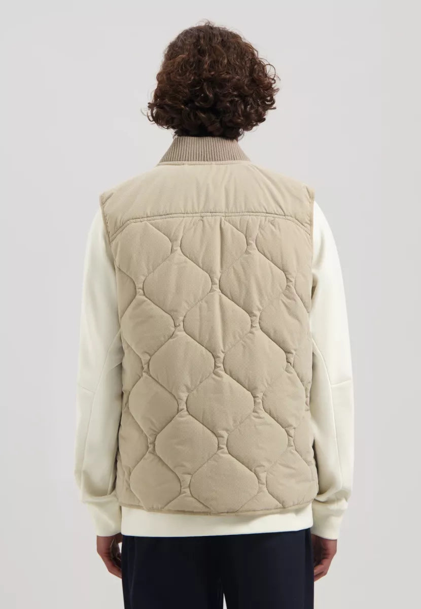 DSTREZZED DSTREZZED Ives - BRUIN